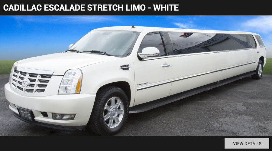 fleet-cadillac-limo-white-older